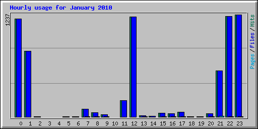 Hourly usage for January 2010